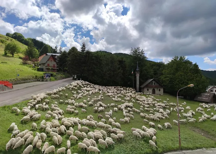 Calvanella * Sestola