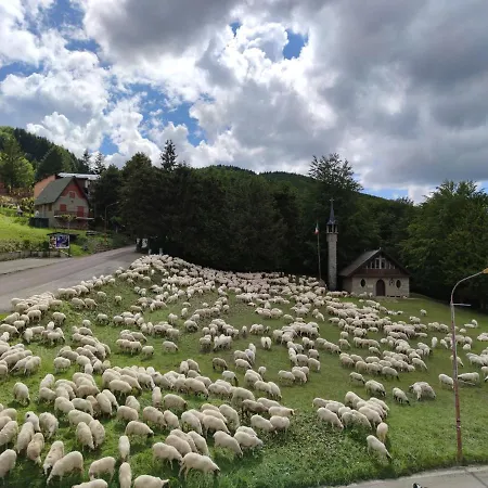 Calvanella * Sestola